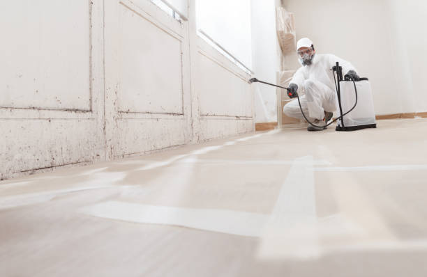 24/7 Emergency Mold Remediation experts in Spotsylvania, VA