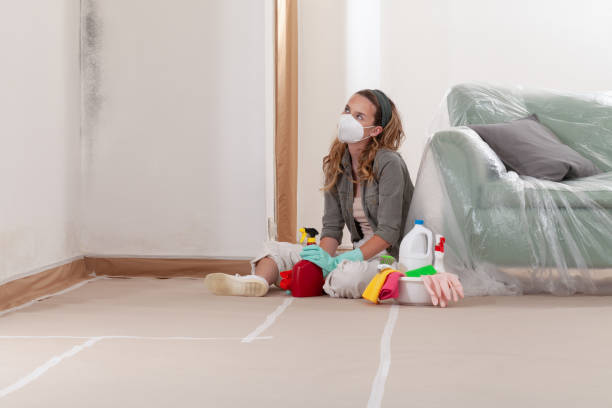 Reliable Mold Remediation contractor in Spotsylvania, VA by 24 Hour Mold Removal